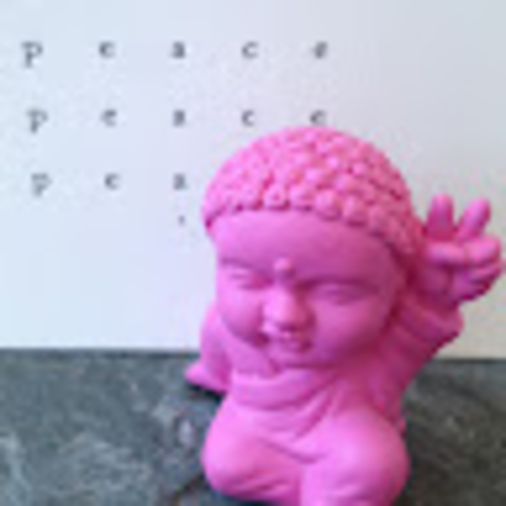 Meet your Posher, Mina